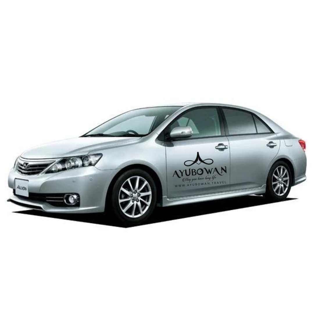 Toyota Allion